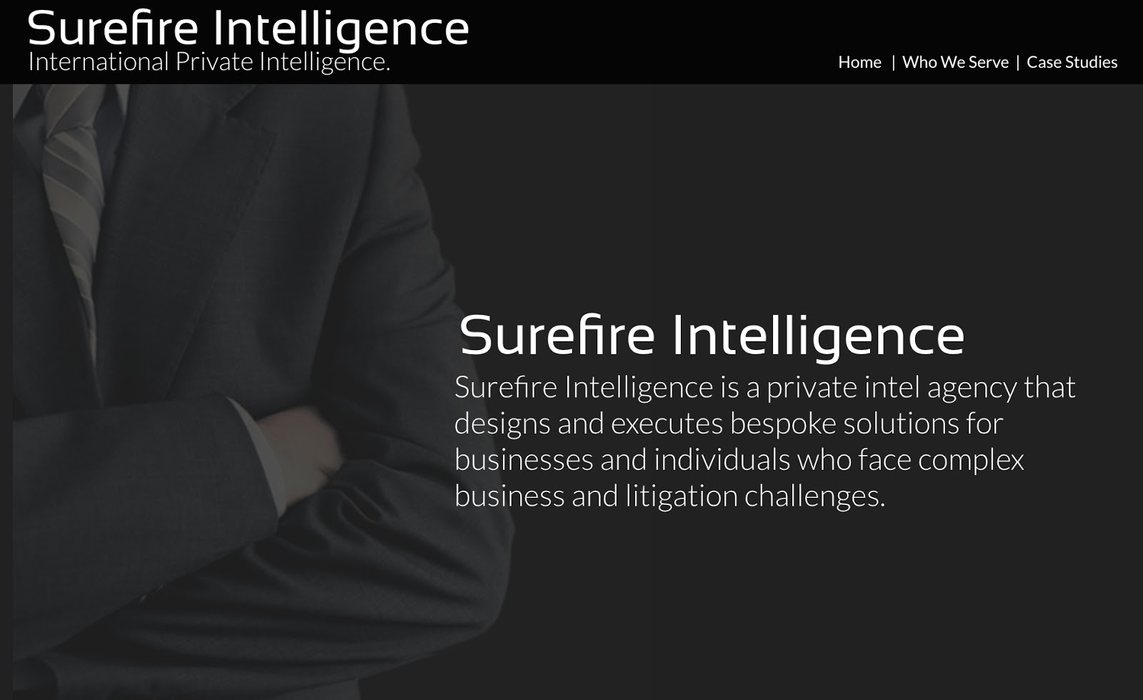 Surefire Intelligence website