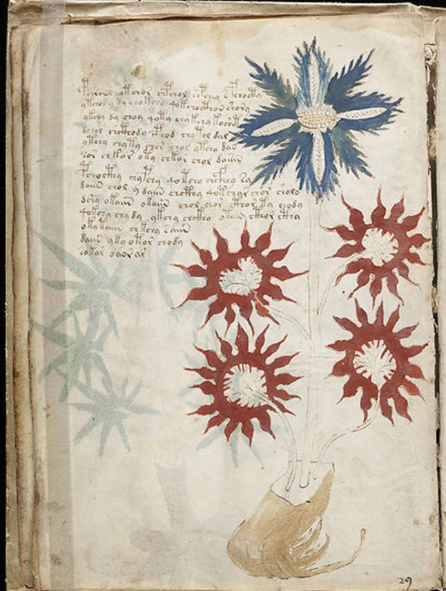 The Voynich Manuscript puzzle