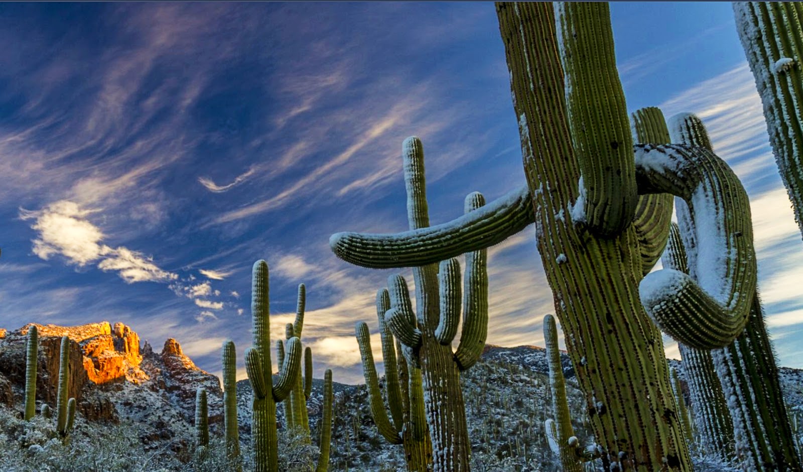 Tucson, Arizona murder mystery