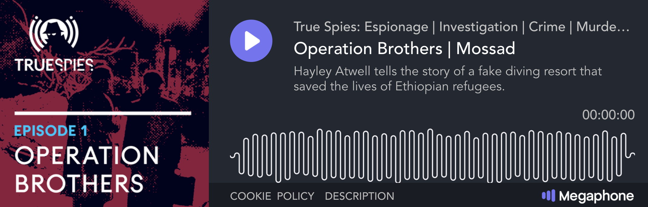 True Spies: Operation Brothers podcast