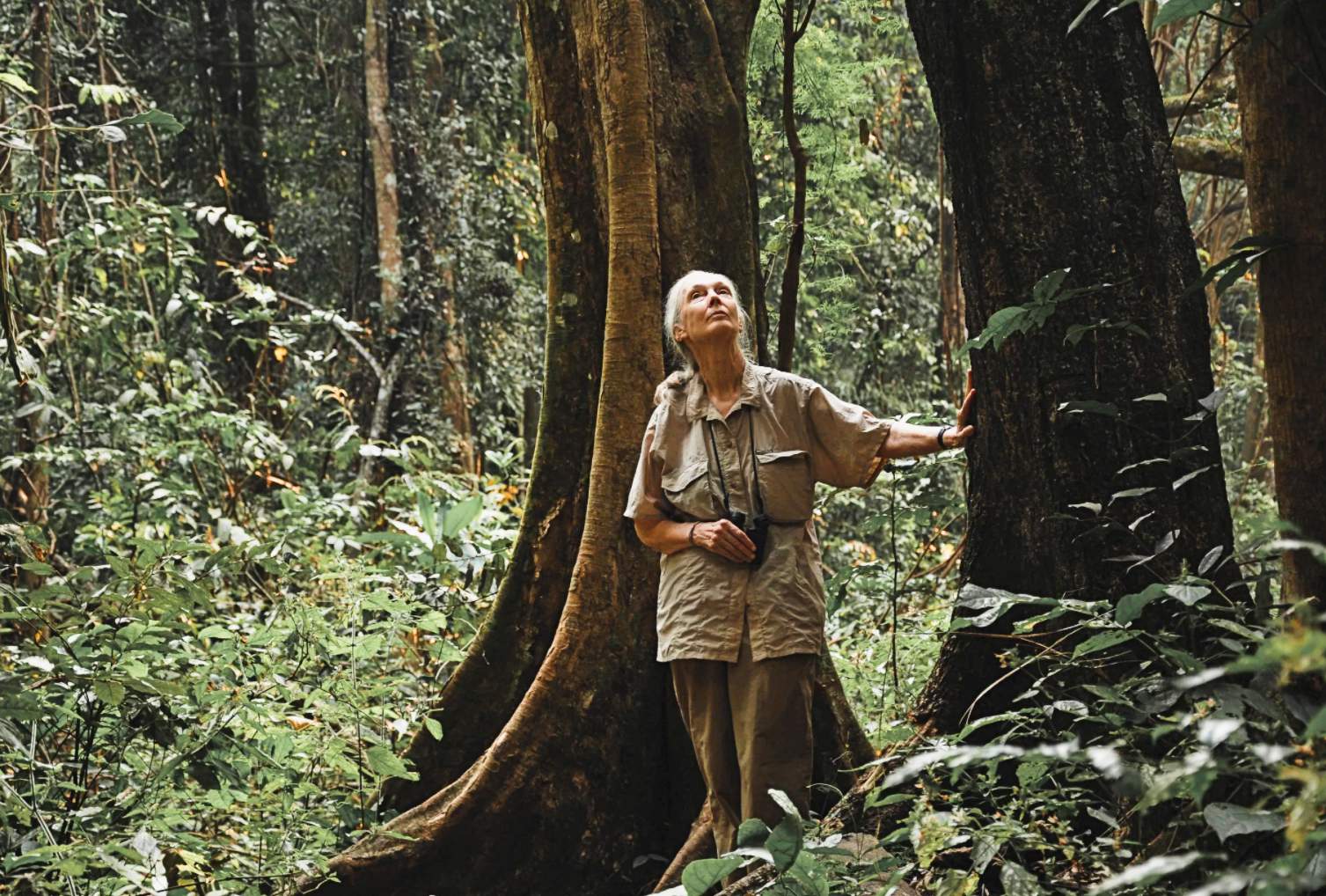 Jane Goodall: True Superhero