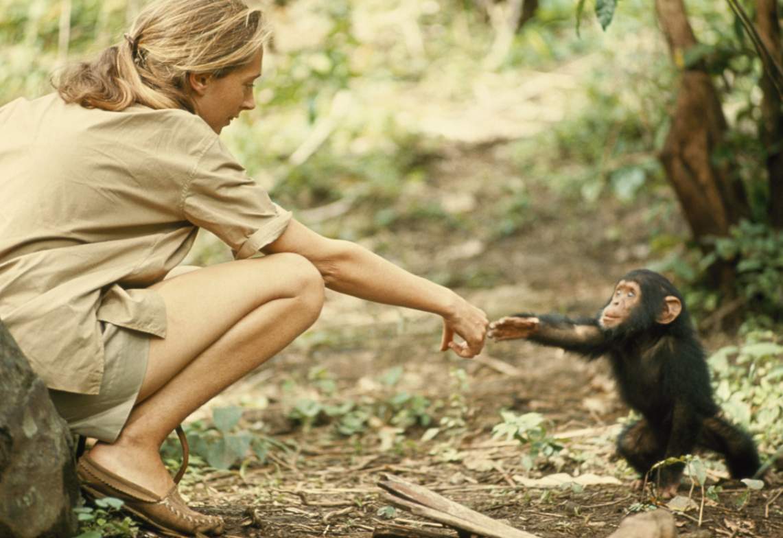 Jane Goodall, True Superhero