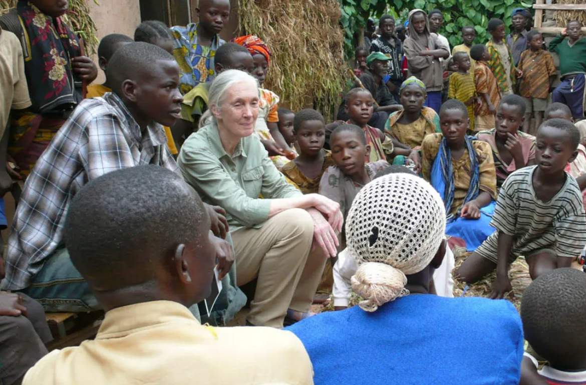 Jane Goodall True Superhero