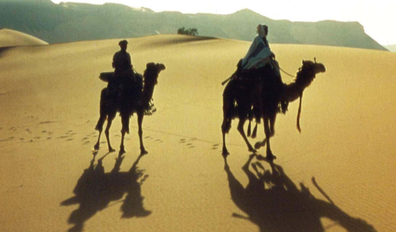 Lawrence of Arabia: Seven Secrets of the Seven Pillars of Wisdom