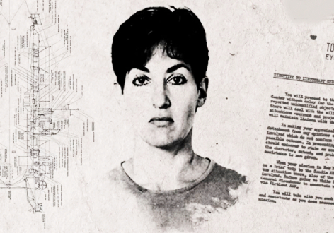 Ana Montes, Cuban Spy