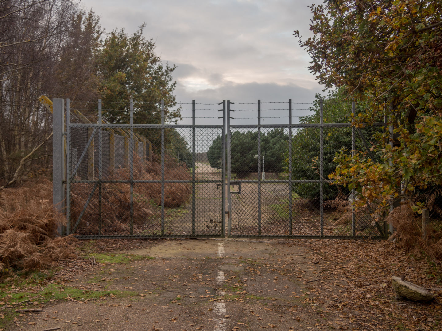 2. Rendlesham Forest Incident - 1980, Suffolk, UK