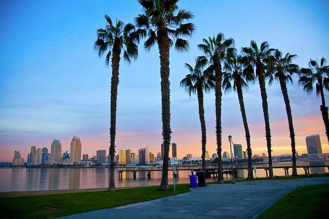 San Diego palm trees, where reluctant narco Keith Bulfin an his DEA financial firm