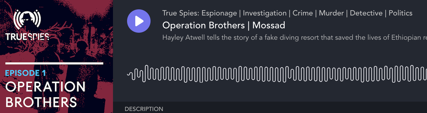 True Spies podcast: Operation Brothers