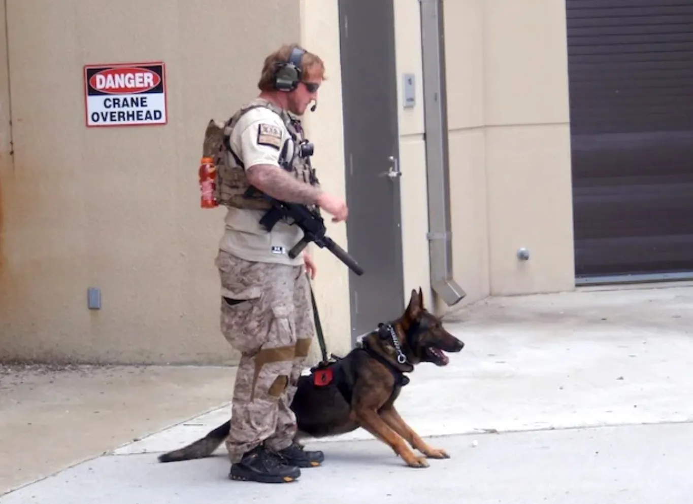 Cairo, the Canine Warrior Who Helped Capture bin Laden