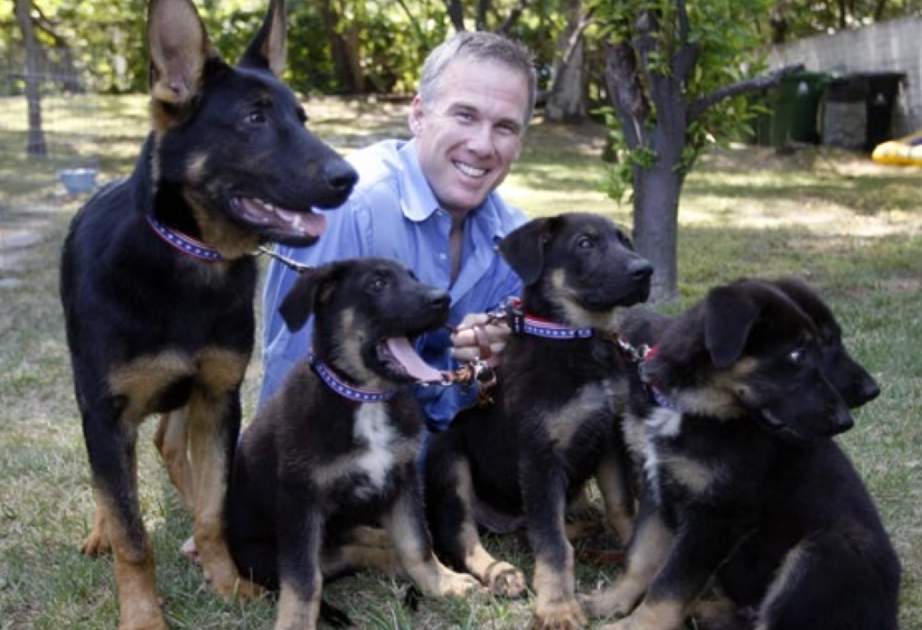 Trakr's hander trained the dog's five cloned puppies